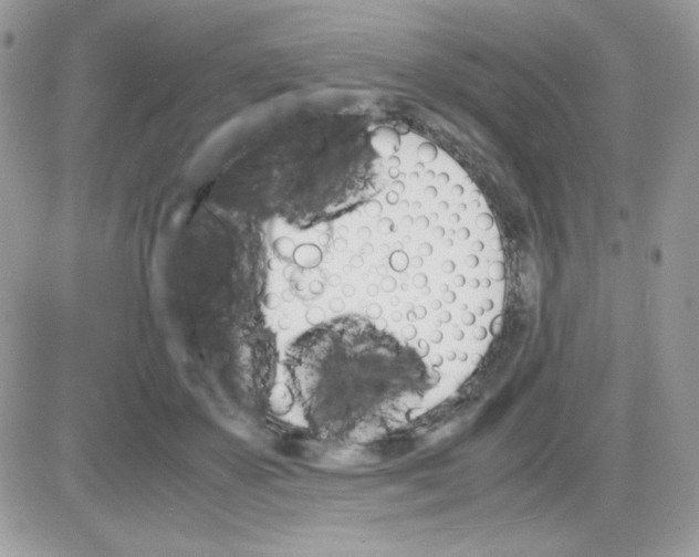 X0000085840507200704132107