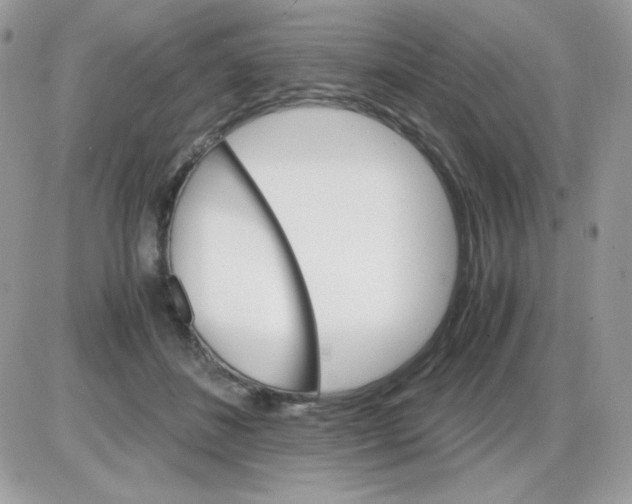 X0000085840508200704132107