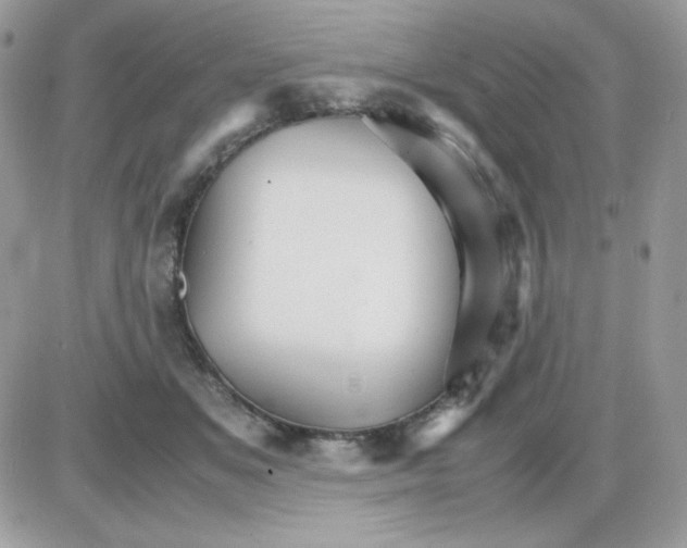 X0000085840509200704132107