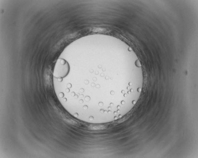 X0000085840510200704132107