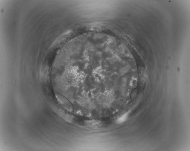 X0000085840511200704132107