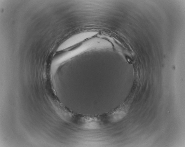 X0000085840512200704132107