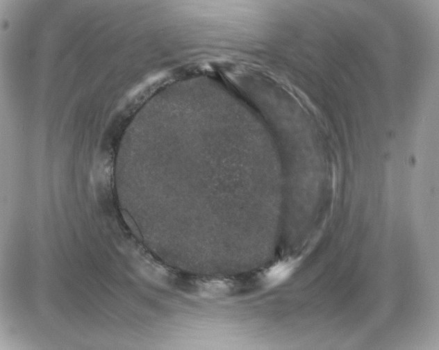 X0000085840513200704132107