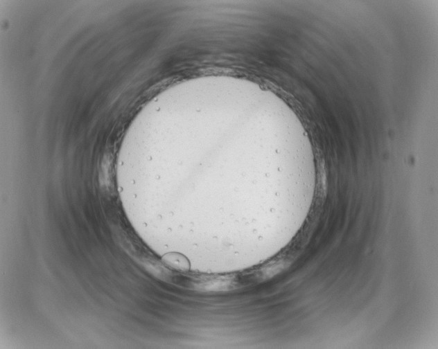 X0000085840514200704132107