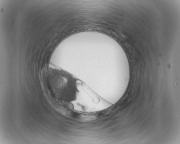 X0000085840515200704132107