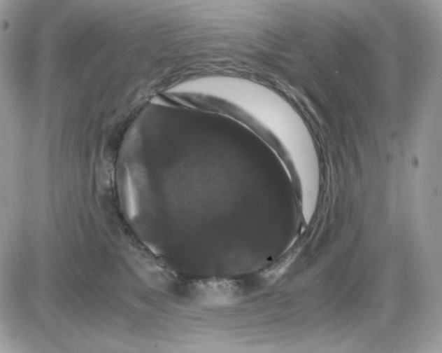 X0000085840517200704132107