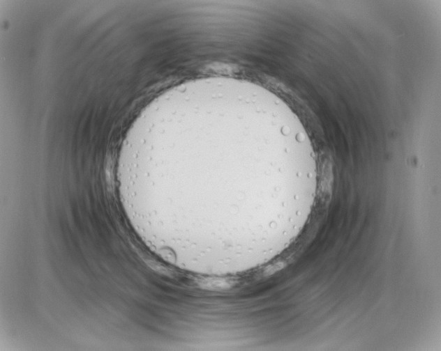 X0000085840518200704132107