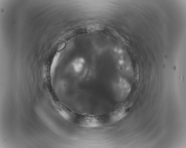 X0000085840519200704132107