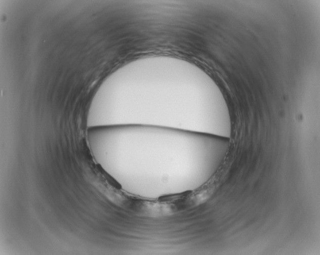 X0000085840520200704132107