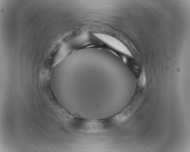 X0000085840521200704132107