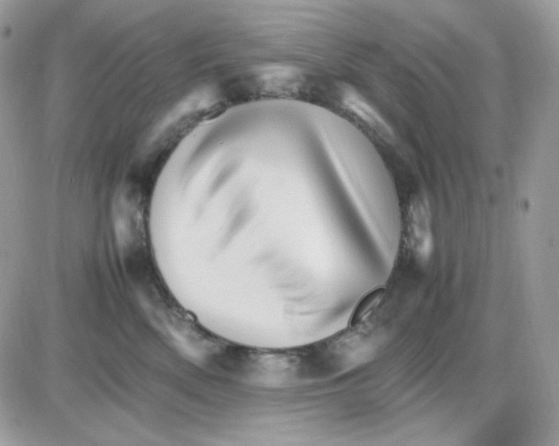 X0000085840522200704132107