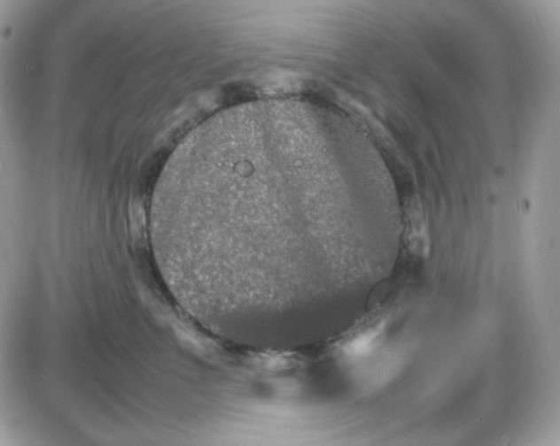 X0000085840523200704132107