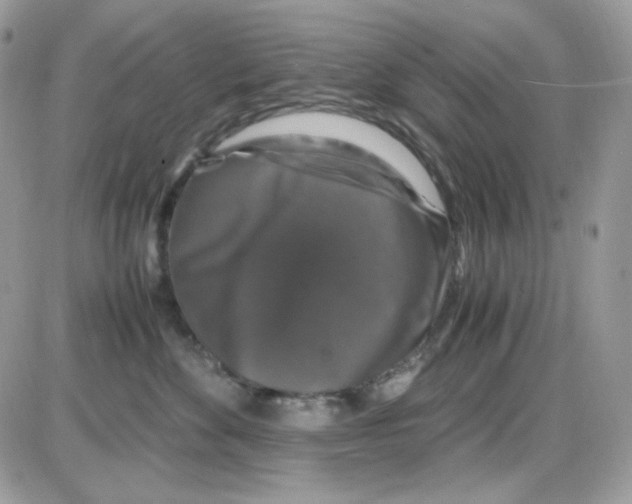 X0000085840524200704132107