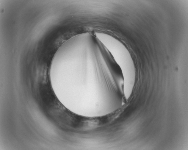 X0000085840525200704132106