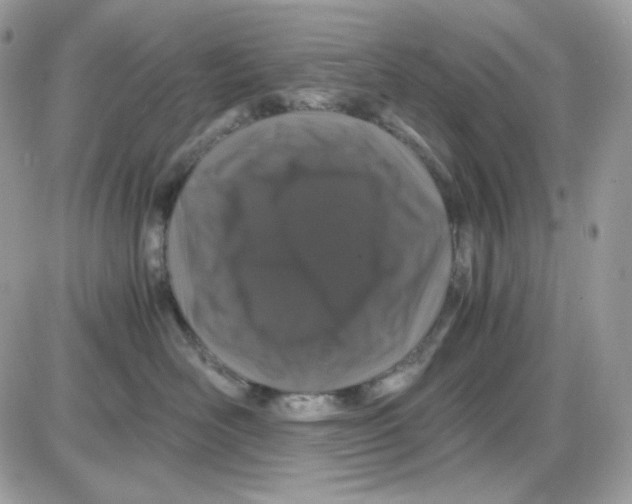 X0000085840526200704132106