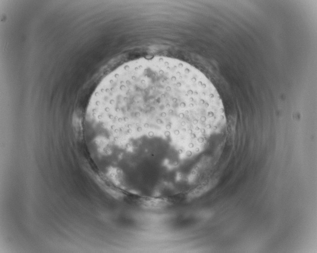 X0000085840527200704132106