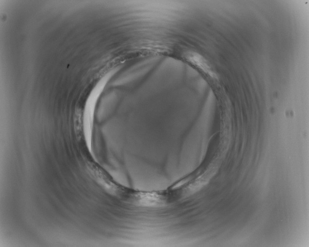 X0000085840528200704132106