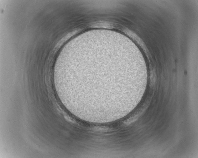 X0000085840529200704132106