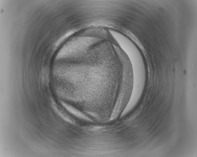 X0000085840530200704132106