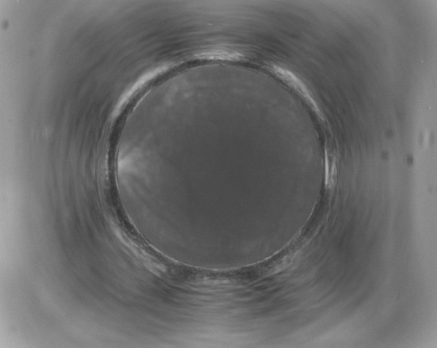 X0000085840531200704132106