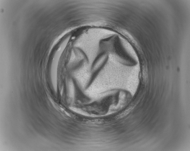 X0000085840532200704132106