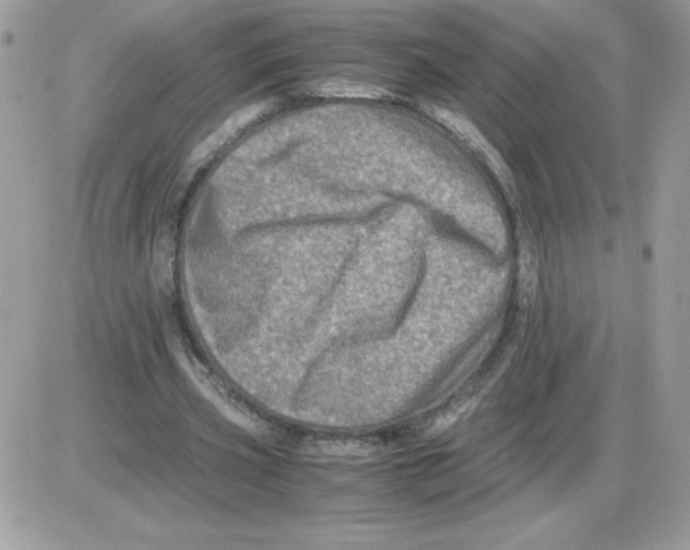 X0000085840533200704132106