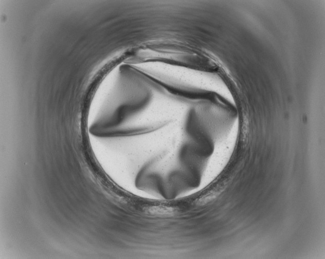 X0000085840535200704132106