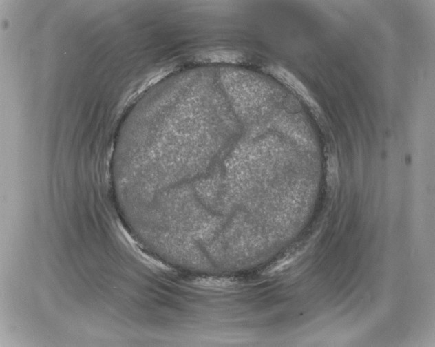 X0000085840537200704132106