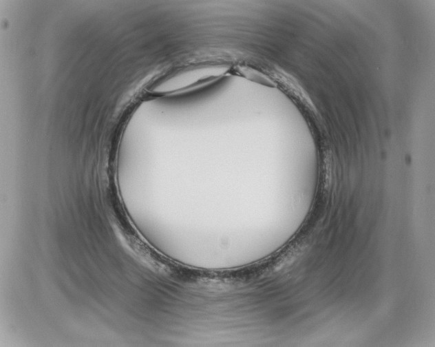 X0000085840538200704132106