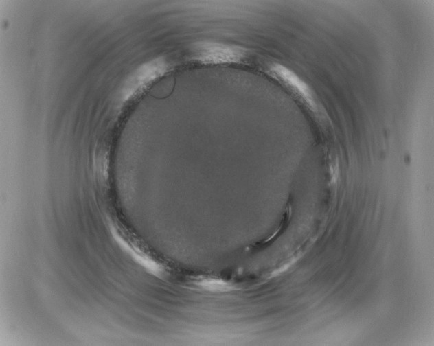 X0000085840539200704132106