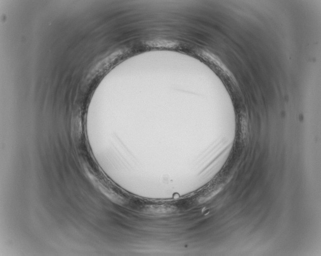 X0000085840541200704132106