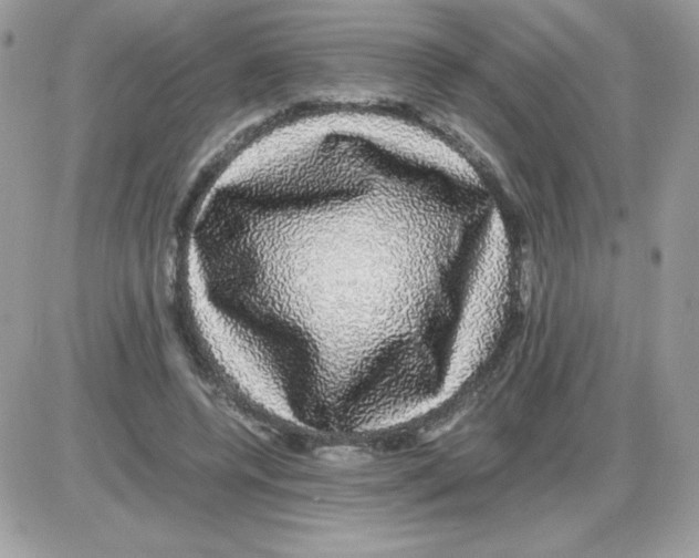 X0000085840544200704132106