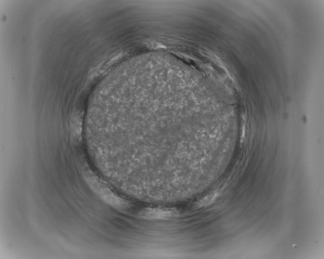 X0000085840545200704132106