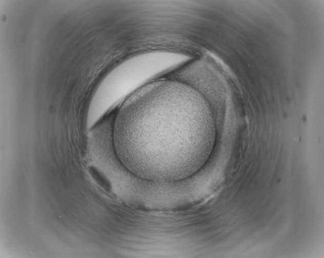 X0000085840546200704132106