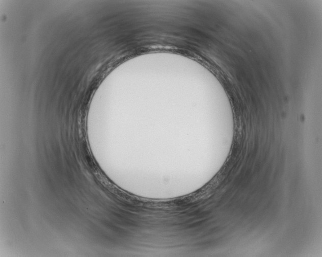 X0000085840547200704132106