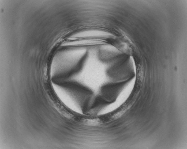 X0000085840548200704132106