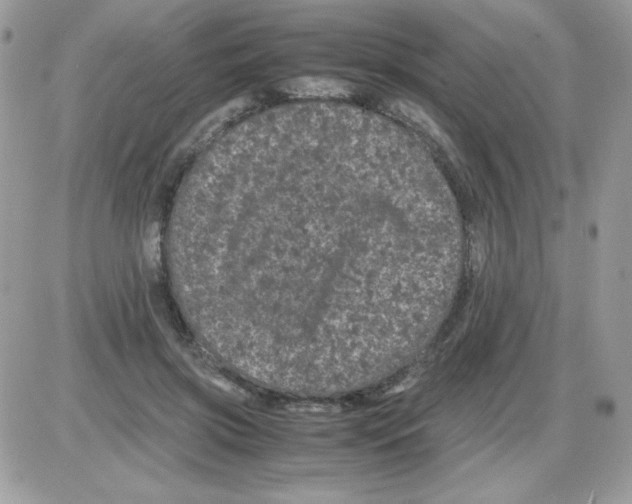 X0000085840549200704132106