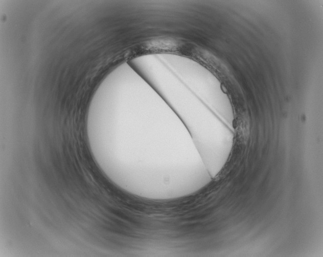 X0000085840551200704132106