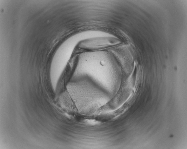 X0000085840552200704132106