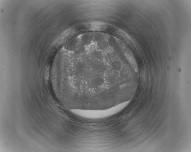 X0000085840554200704132106