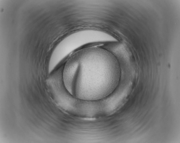 X0000085840556200704132106