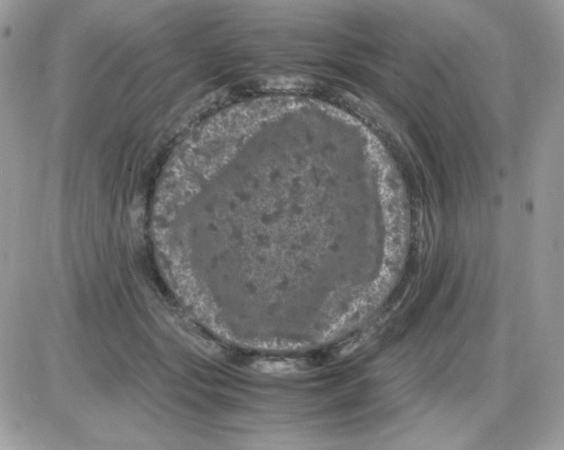 X0000085840557200704132106