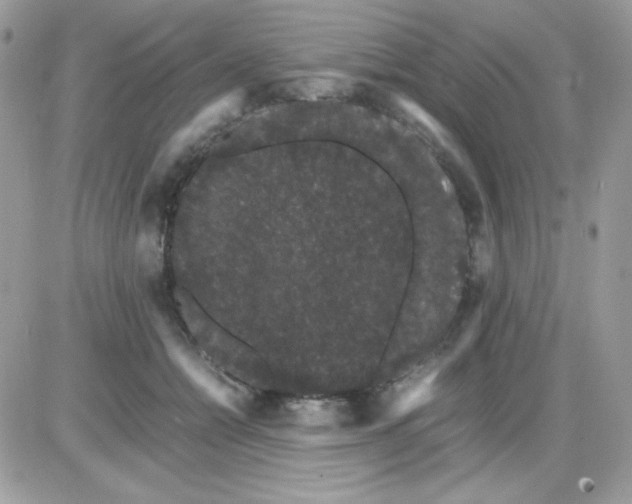 X0000085840558200704132106