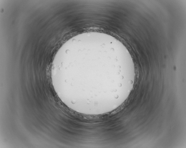 X0000085840559200704132106