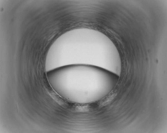 X0000085840560200704132106