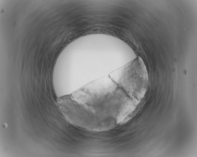 X0000085840561200704132106