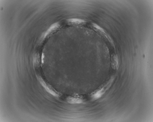 X0000085840563200704132106