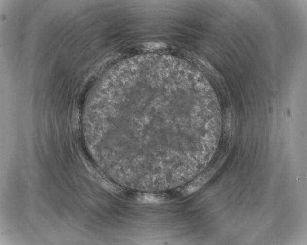 X0000085840565200704132106