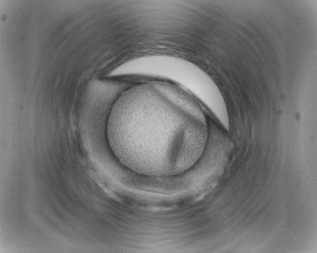 X0000085840566200704132106