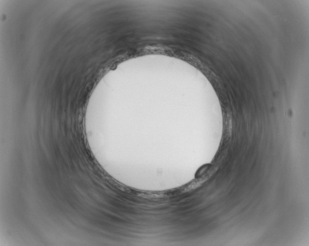 X0000085840567200704132106